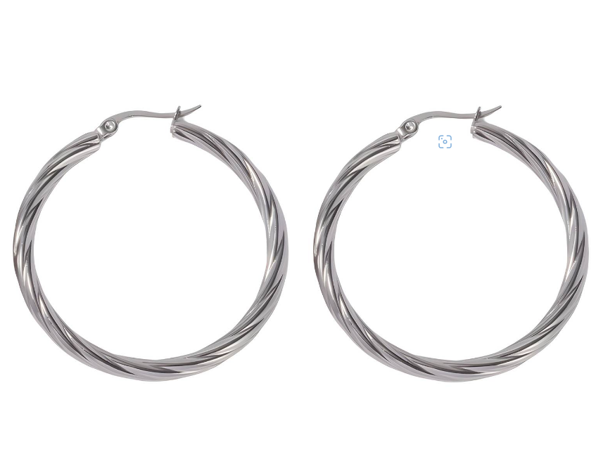 Stainless Steel earrings